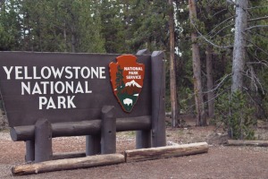 Entrada Yellowstone