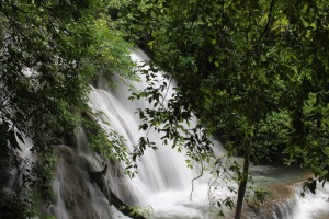 Cascada Palenque