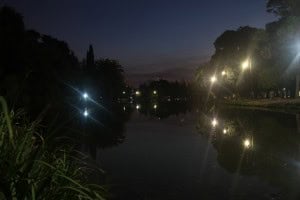 Parque