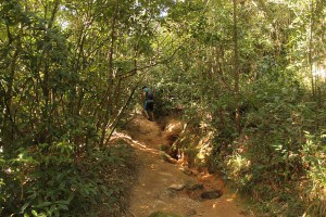 Sendero cerrado
