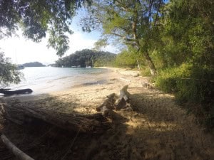 Playa y selva