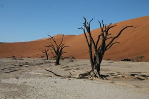 Deadvlei