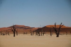 Deadvlei