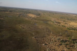 Delta del Okavango