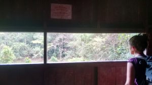 Ventana
