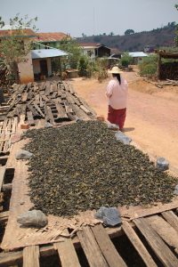 Té
