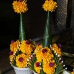 Flores