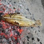Pescado