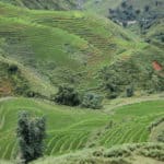 Terrazas